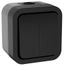 Выключатель двухклавишный TORS 10А IP55 графит - TS-V20-0-10-55-K53 IEK