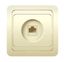 Розетка компьютерная 1-м СП Classic крем. POWERMAN 1156520