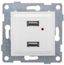Механизм розетки 2хUSB СП Ugra бел. матов. GUSI С11USB2-041