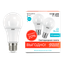 Лампа светодиодная LED 11 Вт 840 лм 4100К AC180-240В E27 А60 (груша) нейтральный (промоупаковка 2 лампы) Elementary Gauss - 23221P