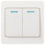 Выключатель двухклавишный скрытого монтажа с подсветкой белый 10А 250В винтовые зажимы Intro Style 7-105-01 - Б0060631 ЭРА
