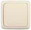Выключатель одноклавишный наружный слоновая кость 16А - ВА16-111-01 HEGEL