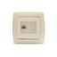 Маргарита розетка компьютерная RJ45, сл.кость (ivory) (еврослот) - М0035-I Союз