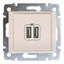 Розетка USB 2-м СП Valena механизм сл. кость (DIY-упак.) Leg 694372 Legrand