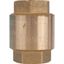 Клапан обратный пружинный муфтовый 1/2' с пластиковым седлом - RG008T8CKERRJ5 STOUT SVC-0012-000015