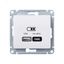 Розетка USB Glossa тип A+C 45Вт QC PD высокоскор. ЗУ механизм беж. SE GSL000229 APC