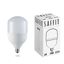Лампа светодиодная промышленная SBHP1060 60W 4000K 230V E27-E40 | 55096 SAFFIT FERON