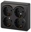 Розетка однофазная четырехместная наружная (открытой установки) с заземлением со шторками антрацит 16А 250В IP 20 винтовые клеммы 11-2211-05 Эра Эксперт - Б0063004