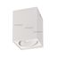 Светильник светодиодный SP-CUBUS-S100x100WH-11W Day White 40deg IP20 металл Arlight 023078(1)