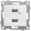Розетка USB 2-м СП Bravo механизм бел. матов. GUSI С10USB2-041