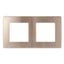 Рамка для розеток и выключателей серия 12 12-5102-04 на 2 поста, сатин, шампань | Б0052512 ЭРА