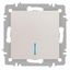 Выключатель одноклавишный, в рамку (скрытого монтажа) с подсветкой перламутр 10А 250В винтовые зажимы Intro Accent 6-102-06 - Б0063467 ЭРА
