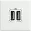 Разъем для зарядки 2хUSB Axolute бел. Leg BTC HD4285C2 Legrand