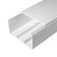 Кабель-канал белый 2-й замок в г/к 100х60 мм (16м/уп) Промрукав - PR.0610060 Строитель