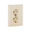 Розетка 2-м СП Valena 16А IP20 2P+E с заземл. немецк. стандарт сл. кость (DIY-упак.) Leg 695616 Legrand