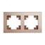 Рамка горизонтальная 2-местная, серия Катрин, GFR00-7002-02, шампань | 39528 STEKKER FERON