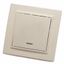 Выключатель 1-клавишный с индикатором, серия Эрна, , слоновая кость - PSW10-9001-02 FERON 39228