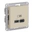 Розетка USB AtlasDesign тип A+C 45Вт высокоскор. ЗУ QC PD механизм песочн. SE ATN001229 APC