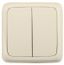 Выключатель двухклавишный наружный слоновая кость 16А - ВА16-151-01 HEGEL