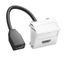 Мультимедийная рамка HDMI Modul45 (белый) (MTS-HD F RW1) | 6104838 OBO Bettermann