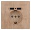 Розетка Intro Plano 1-410-11 с заземлением 2P+E Schuko со шторками, 16А-250В + 2хUSB 5В-2,1А, IP20, СУ, сосна | Б0053949 ЭРА