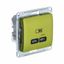 Розетка USB Glossa тип C 65Вт QC PD высокоскор. ЗУ механизм фисташ. SE GSL001027 APC