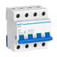 Выключатель нагрузки NH4 4P 32A (DB) (R) | 398046 CHINT