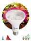 Лампа светодиодная FITO-16W-RB-E27-K 16Вт A60 грибовидная прозрачная 1310К E27 130-270В для растений красн./син. спектр Эра Б0039072