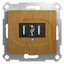 Механизм розетки USB 1-м СП Glossa дер. дуб SchE GSL000532 APC