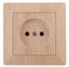 Розетка однофазная скрытого монтажа, в рамку без шторок сосна 16А 250В IP20 4-201-11 Intro Solo - Б0053648 ЭРА
