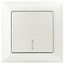 Выключатель одноклавишный скрытого монтажа с подсветкой перламутр 10А 250В Intro Solo 4-102-06 - Б0053568 ЭРА