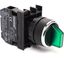 Переключатель 2-0-1 (1НО+1НО), без фиксации, зелёный цвет, блока подсветки, серия B (250В AC, 4А), IP50 - B101SL32Y EMAS