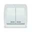 Выключатель 2-кл. ОП Клио с подсветкой 10А IP44 бел. UNIVersal К2227 Союз