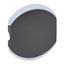 Панель лицевая MyHome SCS 2мод. без маркировки графит Leg 064802 Legrand