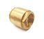 Клапан обратный латунь внутр./внутр. резьба 3/4дюйм PN25 желт. RTP 34640