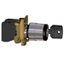 Переключатель 3-х поз. с ключом 22мм 2НО SchE XB4BG03 Schneider Electric