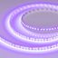 Светодиодная лента RT-A120-8mm 24V Violet (9.6 W/m, IP20, 2835, 5m) (Arlight, -) | 043384 Arlight