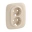 Панель лицевая Valena Allure для 2-м розетки 2х2К+З сл. кость Leg 754956 Legrand
