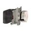 КНОПКА 22ММ 220В С ВОЗВ. ПОДСВ. XB4BW3165 | Schneider Electric