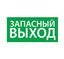 Пиктограмма (наклейка) "Запасный выход" (200х100) | 1002100200 АСТЗ Ардатов