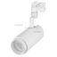 Светильник светодиодный LGD-ZEUS-4TR-R100-30W Cool SP7500-Fish WH 20-60 deg IP20 230В металл Arlight 029998