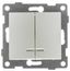 Выключатель двухклавишный Bravo инд, механизм, 10А, 250В, жемчуг - С10В28-028 GUSI