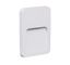 Светильник архитектурный PST/W S120090 2Вт 4000К White IP44 Jazzway 4895205005570