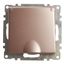 Розетка 1-местная с крышк защ. штор (механизм) с/з, 250В, 16А, серия Катрин, GLS16-7112-02, шампань | 39594 STEKKER FERON