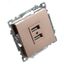 Розетка 2-местная USB (механизм), 250В, 2,4А, серия Катрин, GLS10-7115-02, шампань | 39602 STEKKER FERON