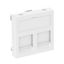 Корпус компьютерной розетки Modul45 тип С (прямой) 45x45 мм (белый) (DTG-2C RW1) | 6119214 OBO Bettermann