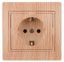 Розетка 1-м СП Plano 1-202-11 16А IP20 250В 2P+E Schuko сосна Intro Б0030061 ЭРА