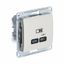 Розетка USB Glossa тип C 65Вт QC PD высокоскор. ЗУ механизм молоч. SE GSL000927 APC