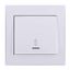 Переключатель проходной 1-кл. СП Rain 10А IP20 с подсветкой бел. LEZARD 703-0202-114