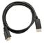 Кабель DisplayPort (m) DVI 2м черн. 1147349